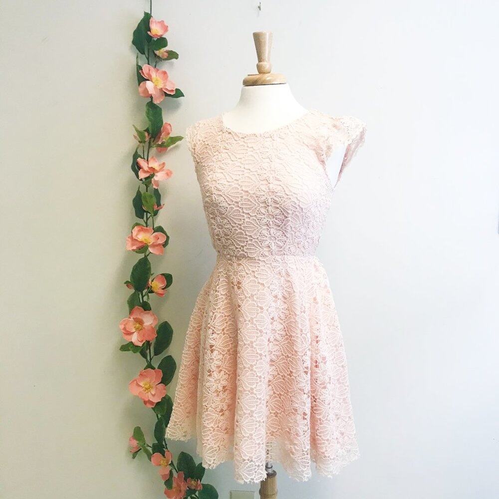 Ellison Orange Lace Fit and Flare Dress